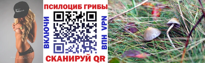 omg как войти  Старица  Галлюциногенные грибы прущие грибы 